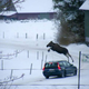 Illustration for article titled Possibly The Greatest Volvo Photo Ever